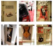 CitroÃ«n DS3 + Printemps / Expo